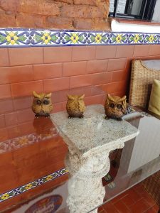 IMG-20190221-WA0039